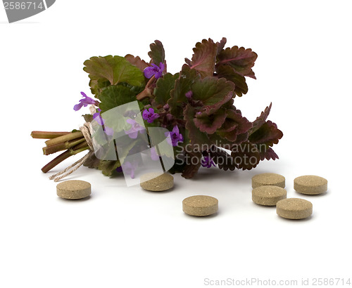 Image of herbal medicine isolated on white background 