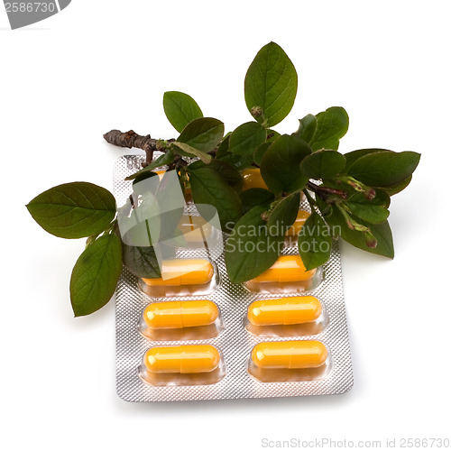 Image of herbal medicine isolated on white background 