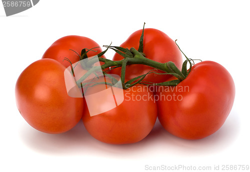 Image of red tomato isolated on the white background 