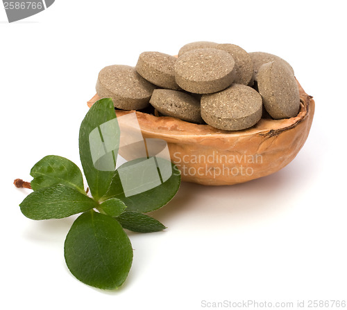 Image of herbal pills