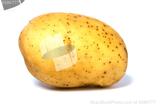 Image of potato isolated on white background