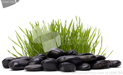 Image of grass and stones isolated on white background