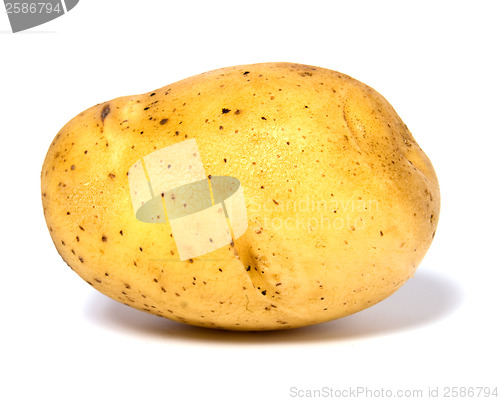 Image of potato isolated on white background