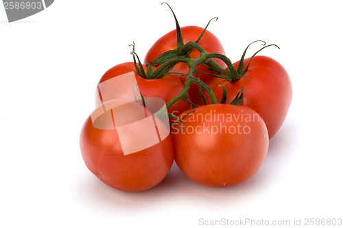 Image of red tomato isolated on the white background 