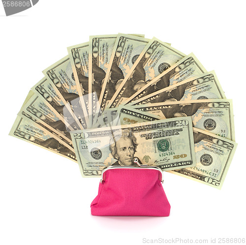 Image of Glamour purse fill with money 