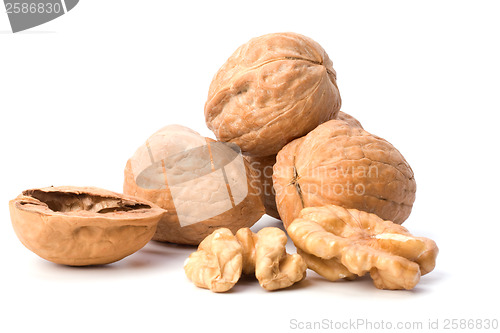 Image of walnuts isolated on white background