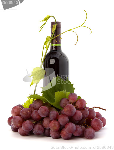 Image of red wine bottle 