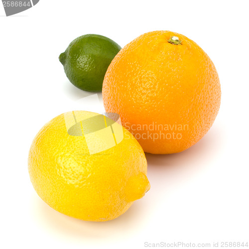 Image of Citrus fruits