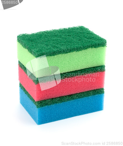 Image of sponges 