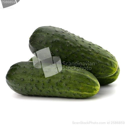 Image of cucumber