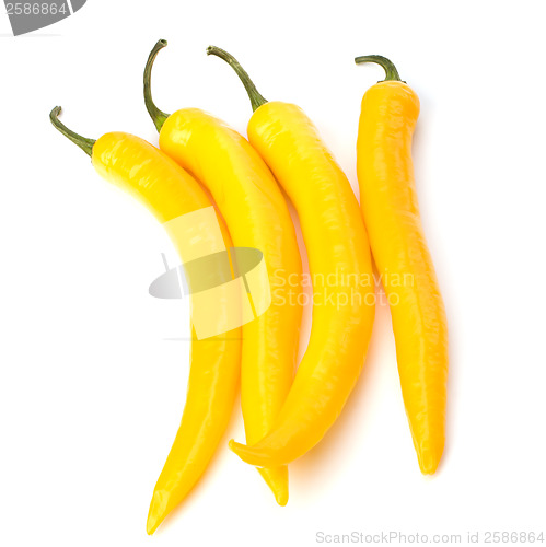 Image of Chili pepper isolated on white background