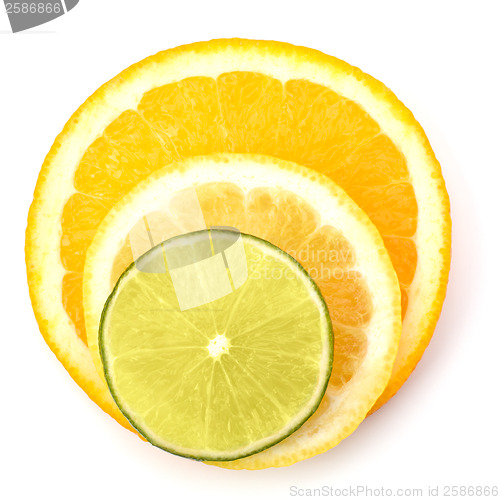 Image of Citrus fruit slices