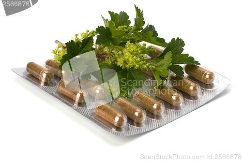 Image of herbal medicine isolated on white background 