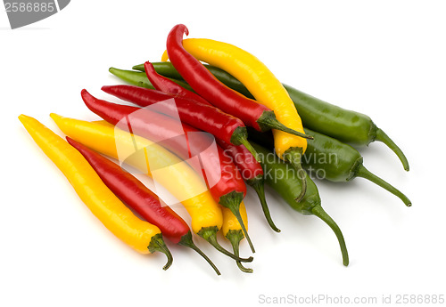 Image of Chili pepper isolated on white background