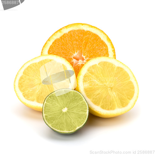 Image of Citrus fruits