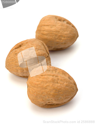 Image of Circassian walnut isolated on the white background 