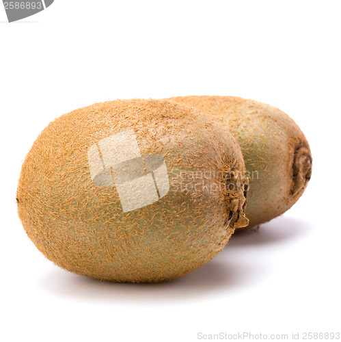 Image of kiwi fruit isolated on white background