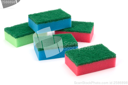 Image of sponges 