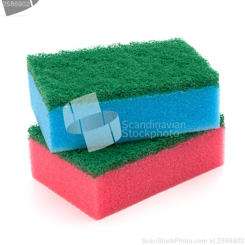 Image of sponges 