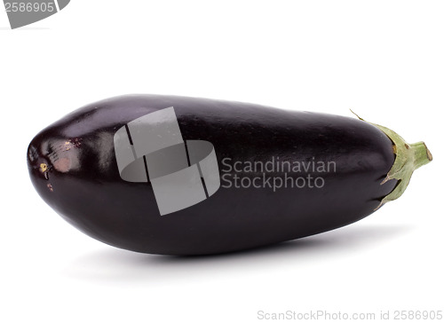 Image of Eggplant isolated on white background