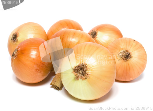 Image of onion isolated on white background