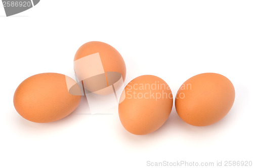 Image of Eggs  