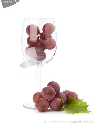 Image of wine glass full with grapes  