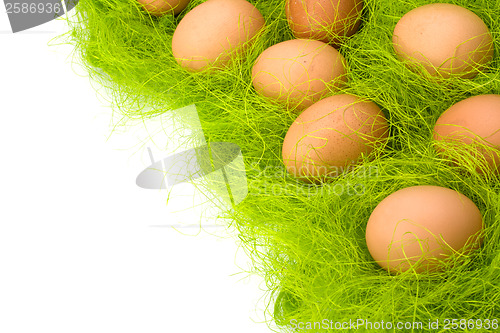 Image of eggs border 