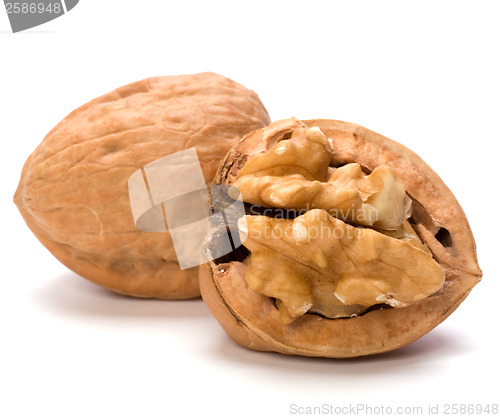 Image of walnut