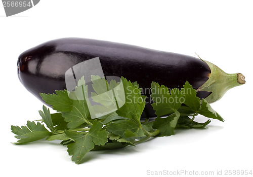 Image of Eggplant isolated on white background