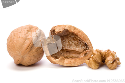 Image of walnut