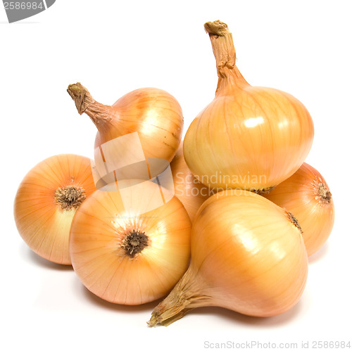 Image of onion isolated on white background