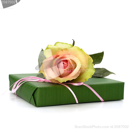 Image of Beautiful rose with gift  isolated on white background 
