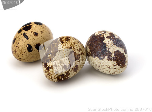 Image of quail eggs