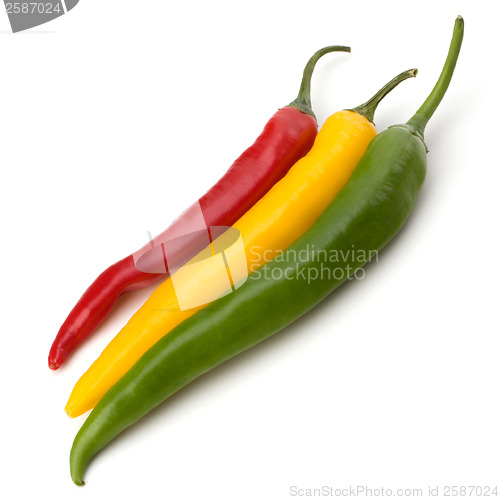 Image of Chili pepper isolated on white background