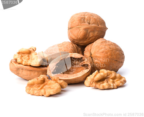 Image of walnuts isolated on white background