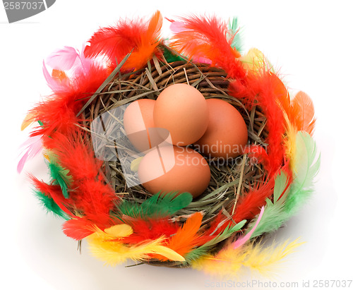 Image of easter egg in nest isolated on white background