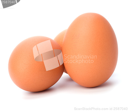 Image of eggs isolated on white background