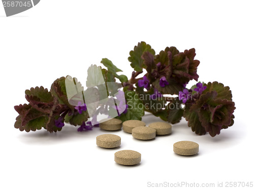 Image of herbal medicine isolated on white background 