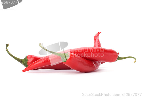 Image of Chili pepper isolated on white background
