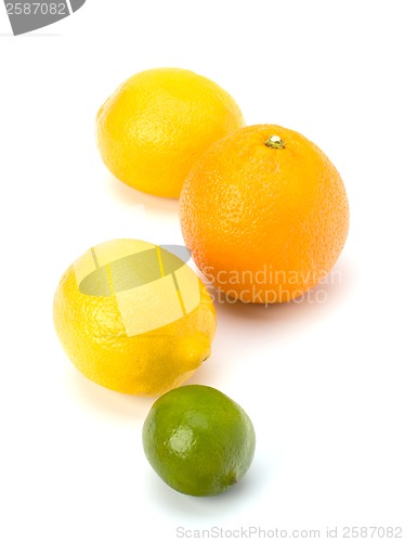 Image of Citrus fruits