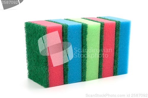 Image of sponges 