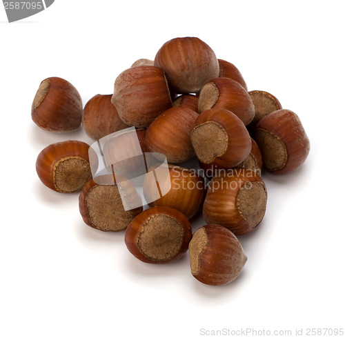 Image of hazelnuts isolated on white background