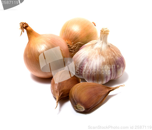 Image of Garlic and onion isolated on white