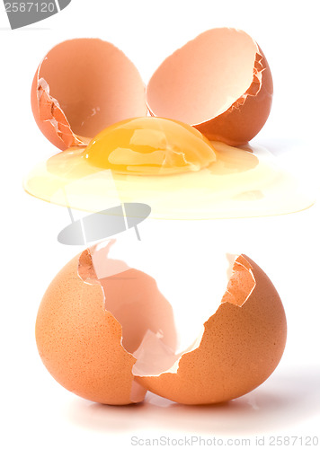 Image of broken egg and empty eggshell 
