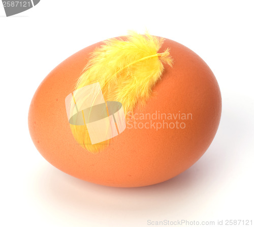 Image of Egg and feather isolated on white background. Easter decor.