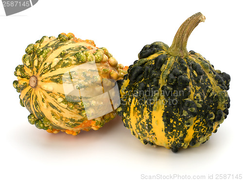 Image of Decorative pumpkin 