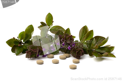 Image of herbal medicine isolated on white background 