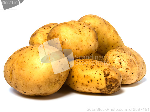 Image of potatoes isolated on white background