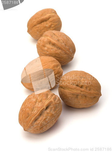 Image of Circassian walnut isolated on the white background 